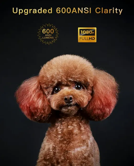 Upgraded WiFi Bluetooth 4K Device with 750 ANSI Lumens